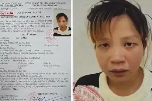 Thiếu nữ mua bán ma túy trái phép bị truy nã