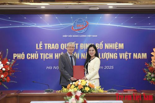 Lãnh đạo cấp cao T&T Group làm Phó Chủ tịch Hiệp hội Năng lượng Việt Nam