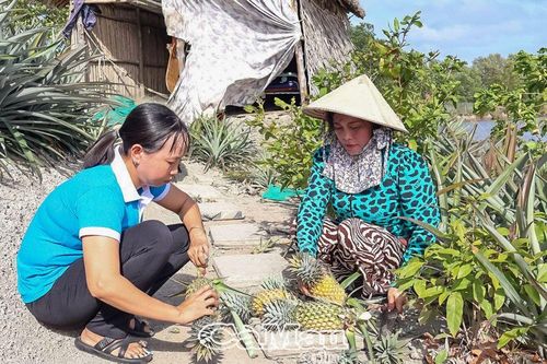 Tăng thu nhập nhờ chuyển đổi cây trồng phù hợp