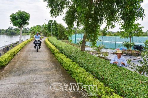 Nét mới quê hương Phú Mỹ