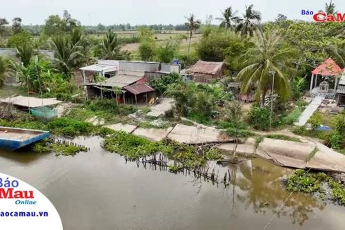 Huyện Trần Văn Thời: Khó khăn khắc phục sạt lở, sụt lún