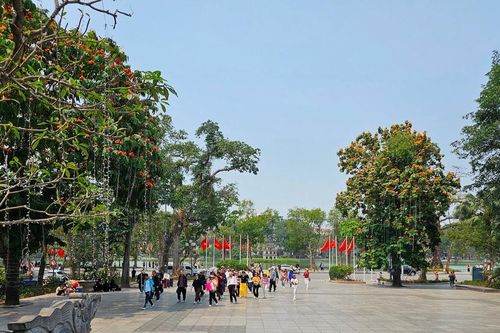 Vườn hoa Lý Thái Tổ trước khi di dời cây xanh để cải tạo