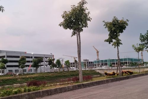 Tăng nhu cầu thuê đất nền khu công nghiệp