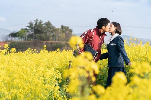 'Khi cuộc đời cho bạn quả quýt' có cứu nổi du lịch Jeju?