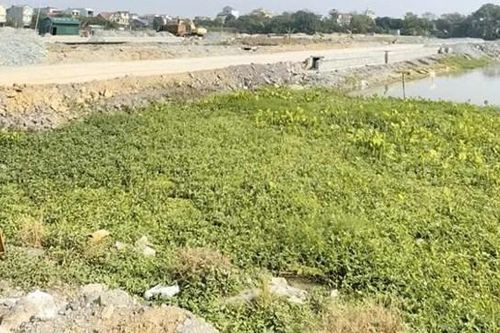Ninh Bình: yêu cầu kiểm soát giá bất động sản tăng bất thường