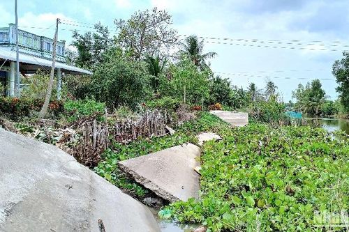 Bế tắc giao thông nông thôn ở vùng ngọt Cà Mau