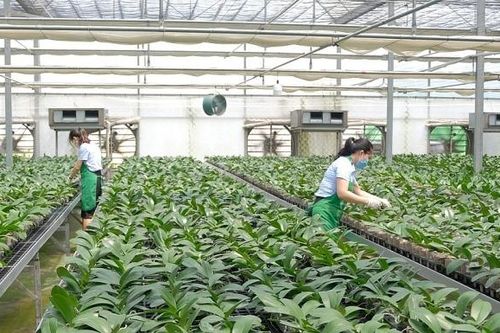 Hà Nội thành lập Trung tâm Kỹ thuật nông nghiệp và môi trường