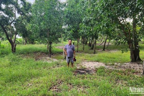 Khởi vụ tố vụ án 'Phiên tòa có dấu hiệu làm giả con dấu, tài liệu nhưng vẫn được xét xử'