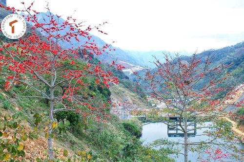 [LONGFORM]: Hoa gạo Hà Giang hút du khách dịp tháng 3