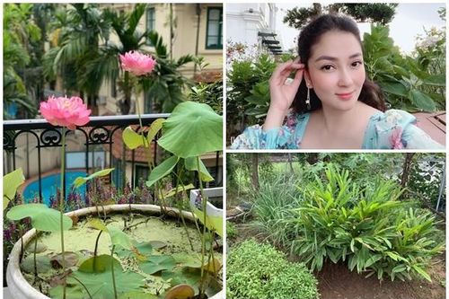 Biệt thự ngập hoa trái của 'Hoa hậu bí ẩn nhất Việt Nam'