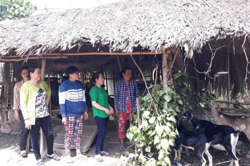 Đa dạng hóa mô hình sinh kế giúp người dân giảm nghèo bền vững