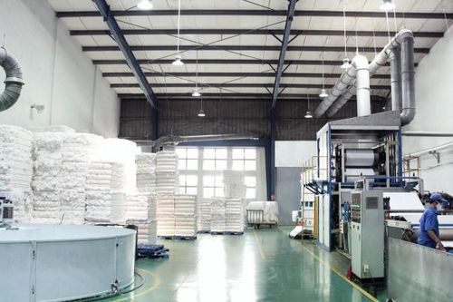 Thương hiệu Bông Bạch Tuyết (BBT) lần đầu trả cổ tức sau 7 năm, dự định chuyển sàn