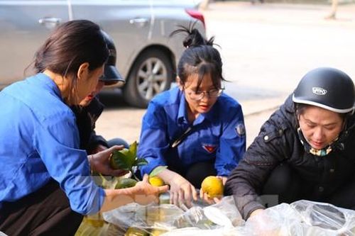 Bạn trẻ chung tay 'giải cứu' hàng tấn quýt đặc sản