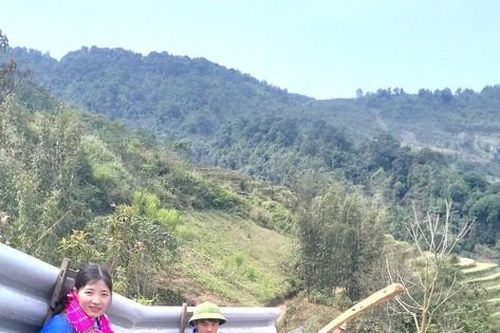 Tuổi trẻ Lào Cai cõng vật liệu, băng đèo dốc giúp người dân xóa nhà tạm