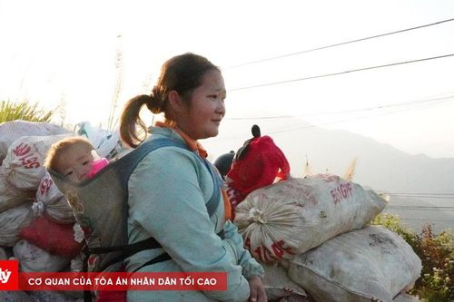 Bấp bênh giá sắn Mường Lát