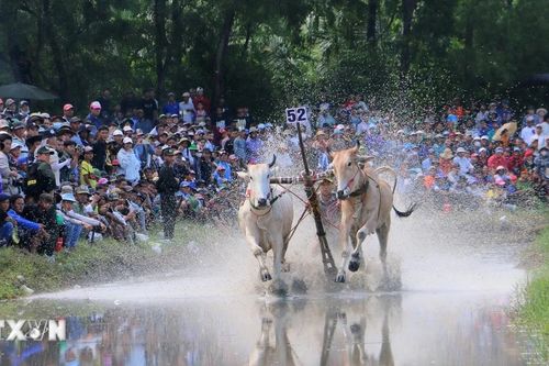 An Giang: Giải pháp nào cho bảo tồn di sản văn hóa của đồng bào dân tộc?