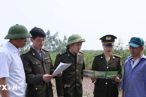 Nam Định: Bảo vệ rừng ngập mặn gắn với sinh kế của người dân