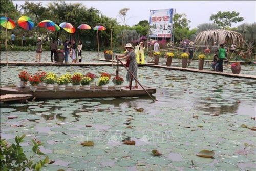 Đất sen hồng đa dạng hóa sản phẩm du lịch, thu hút khách