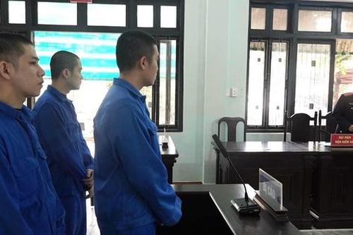 Rủ nhau mua bán ma túy, 3 bạn tù tiếp tục lĩnh án