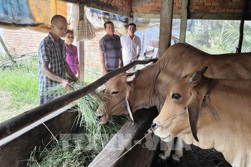 Bến Tre thông tin 'hai chiều' để nâng cao chất lượng Chi bộ