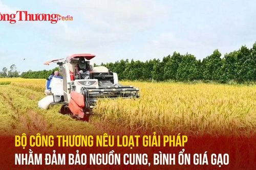Bộ Công Thương nêu loạt giải pháp nhằm đảm bảo nguồn cung, bình ổn giá gạo