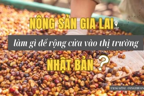 Nông sản Gia Lai làm gì để vào thị trường Nhật Bản?