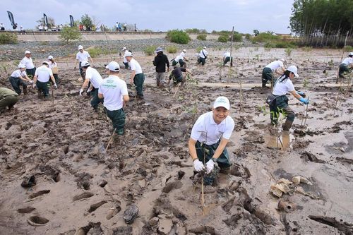 Doanh nghiệp lớn chung tay xanh hóa Việt Nam