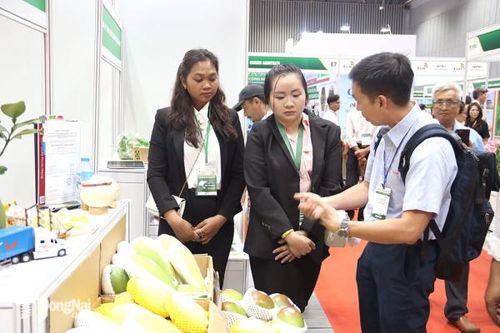 Điểm yếu của doanh nghiệp xuất khẩu nông sản