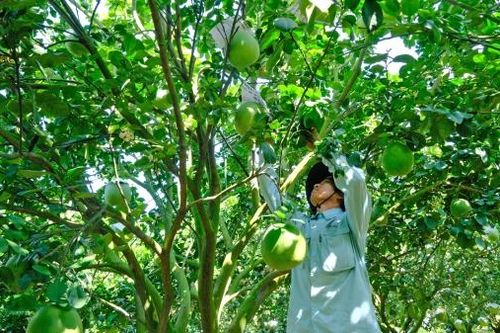 Phong trào 'Nông dân tử tế' ở Đạ Huoai