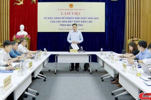 Phát triển năng lượng tái tạo, năng lượng mới