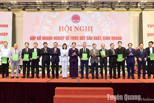Lãnh đạo tỉnh gặp gỡ doanh nghiệp, thúc đẩy sản xuất kinh doanh