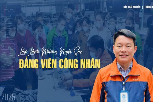 Lấp lánh những 'ngôi sao' đảng viên công nhân