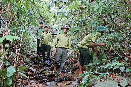 Gắn kết bảo tồn với phát triển đa dạng sinh học