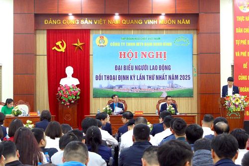 Công ty TNHH MTV Đạm Ninh Bình tổ chức thành công Hội nghị Đại biểu Người lao động năm 2025