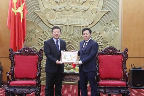 Thái Bình: Nhiều tiềm năng lớn để cùng hợp tác phát triển kinh tế