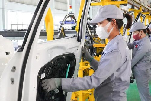 Phát triển kinh tế tư nhân cần tầm nhìn dài hạn