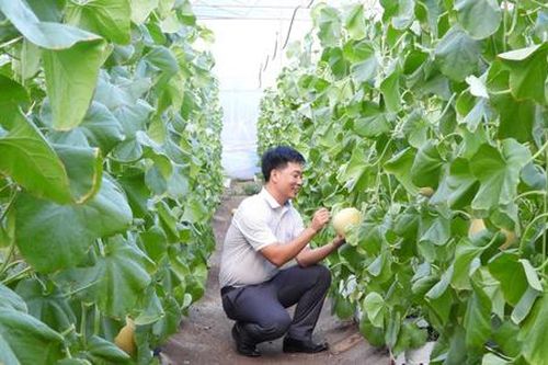 Thúc đẩy kinh tế nhờ chinh phục thị trường số