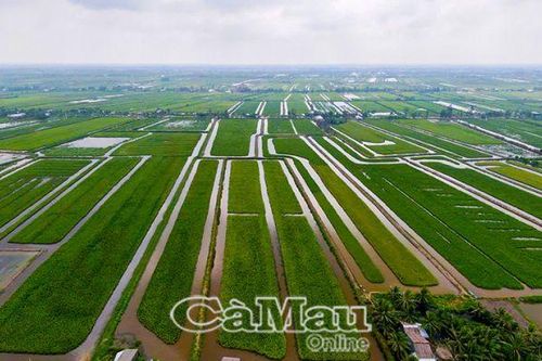 Chuyển biến tích cực từ Nghị quyết 09