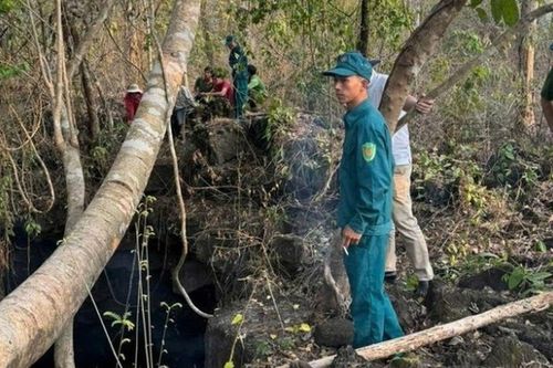 Vụ phát hiện thi thể trong hang động núi lửa ở Đắk Nông: Nguyên nhân ban đầu