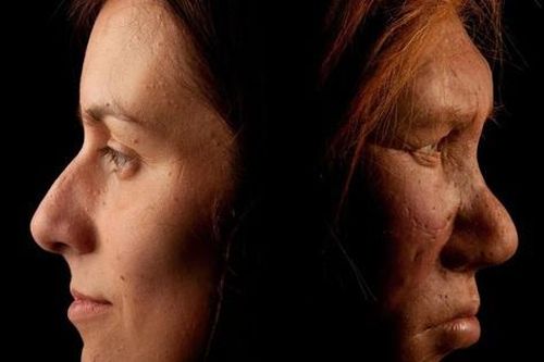 Điều kỳ lạ ở châu Âu - Tây Á khiến thế giới mất một loài người