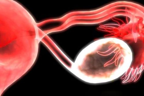 Phát hiện mới mở ra bí ẩn của thời kỳ mãn kinh