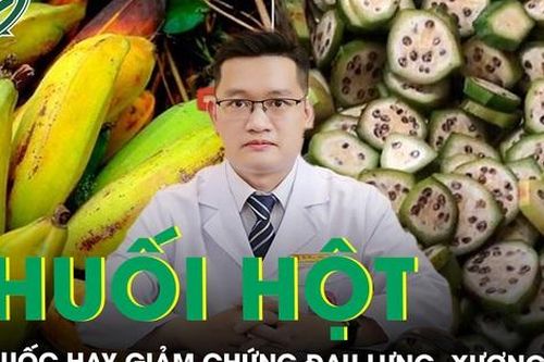 Một số bài thuốc từ chuối hột giảm chứng đau lưng, xương khớp