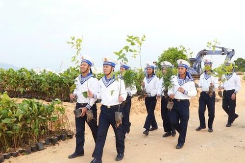 Hải quân trồng thí điểm bổ sung rừng phủ xanh bán đảo Cam Ranh