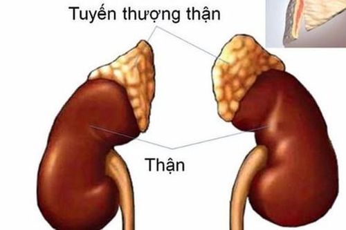 Hội chứng Cushing: Nguyên nhân, biểu hiện, cách điều trị và phòng bệnh