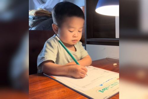 'Giáo sư tí hon' gây sốt mạng xã hội