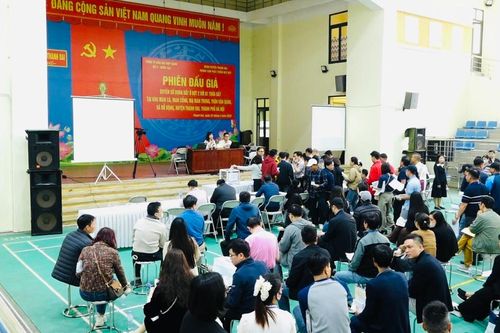 Huyện Thanh Oai thu ngân sách hơn 1.300 tỷ đồng từ đấu giá đất