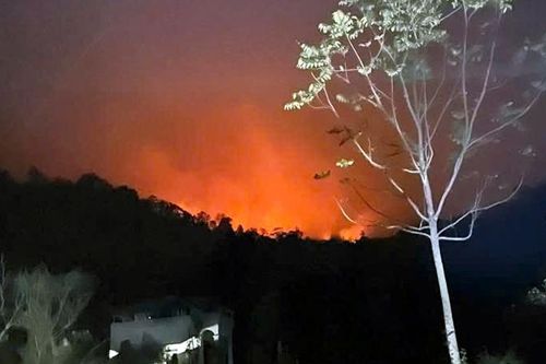 Huy động hơn 200 người tham gia chữa cháy rừng giáp ranh tỉnh Tuyên Quang và Thái Nguyên