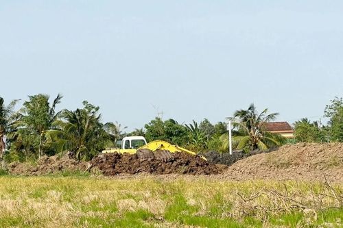 Tiền Giang: Nông dân ồ ạt bán đất mặt ruộng