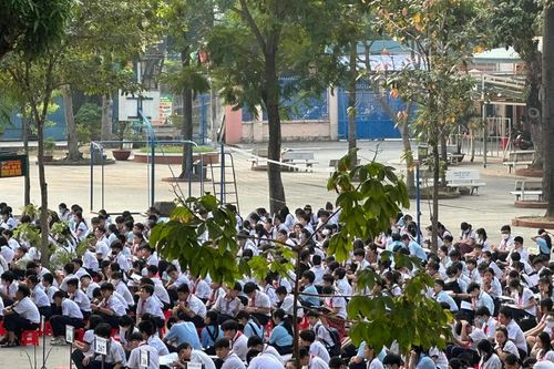 Hơn 6.300 học sinh tham gia Kỳ thi học sinh giỏi bậc THCS TP Thủ Đức năm học 2024-2025