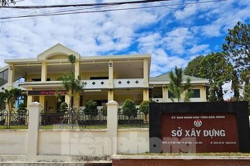 Tin mới vụ Trưởng phòng ở Đắk Nông bị điều động xuống làm phó viết đơn kiến nghị